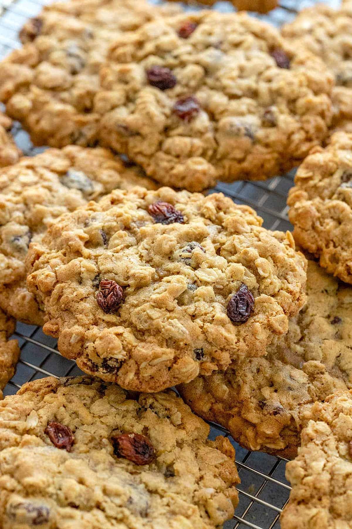 Oatmeal Raisin